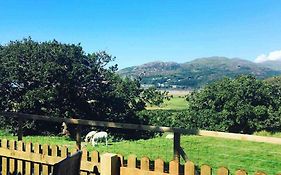 Cwt Melyn, Posh Camping Sheperds Hut, Budget Friendly, Bedding And Towels Not Included With Your Booking